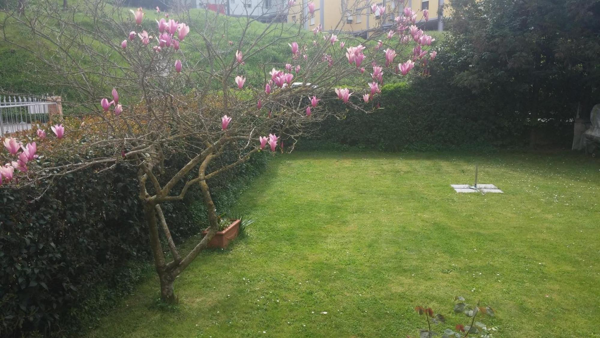 Apartment Casa Il Sogno Vezzano Ligure